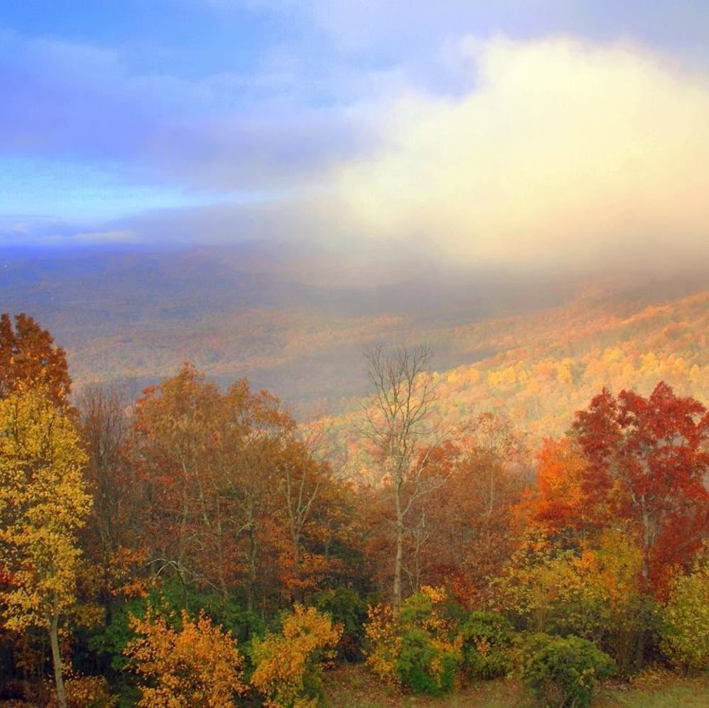 Amicalola Falls State Park And Lodge Dawsonville Exteriér fotografie